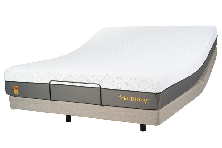 Harmony 1 Adjustable Bed Harmony Wellness Group GOLH1-TXL Twin XL