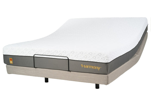 Harmony Hi-Low  Best Adjustable Beds for Seniors