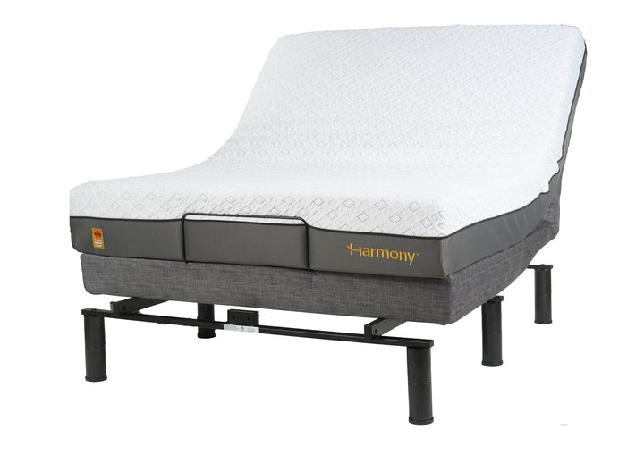 Harmony 3 Adjustable Bed Harmony Wellness Group GOLH3-TXL Twin XL